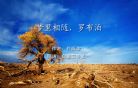 朗诵,梦里相随，罗布泊,派派网,白发三千丈,罗布泊,梦里相随,朗诵